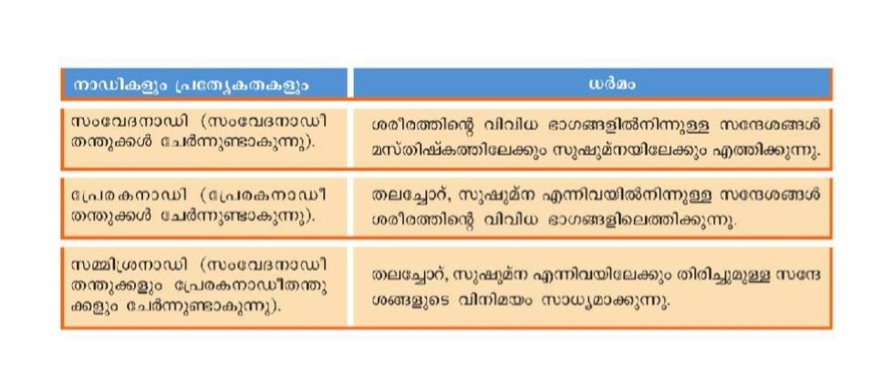 different types of nerves and its function in malayalam